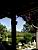 The garden of my parents' second house (395x)