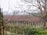 The wine yard next to my parents' house (406x)