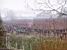 The wine yard next to my parents' house (507x)