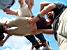 [Fontainebleau]: stage.thover.com presents the FT-acrobatics team (3b) (161x)
