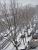 Winter in Malakoff (373x)