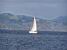 Een boot tussen Evian en Lausanne (178x)