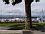 The harbour of Geneva (133x)