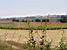 Hay bales in the field (286x)