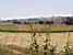 Hay bales in the field (155x)