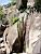 Saut de la truite (trout jump) (287x)