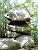 Trois fromages (three cheeses) (271x)