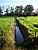A typical dutch landscape (I) (414x)