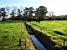 A typical dutch landscape (II) (626x)