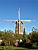 Molen de Korenbloem in Ulvenhout (II) (256x)