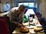 Thomas prepares his birthday cake (324x)