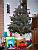 The Christmas tree with the presents (198x)