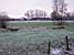 A wintery image III (395x)