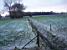 A wintery image V (364x)