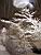 Trees in the snow (5) (289x)