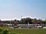 Jardin des Tuileries 1 (268x)