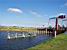 A typical Dutch picture ... (305x)