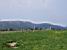 A quiet landscape on our way to Ballon d'Alsace (427x)