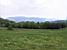 Grass, trees and mountains: beautiful!! (434x)