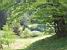 A lake among the trees (664x)