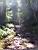 A dried out river (380x)