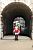 Een wacht bij Horse Guards Parade (409x)