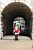 A guard at Horse Guards Parade (296x)