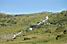 A river / waterfall on the Cormet de Roselend (269x)