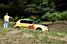 Une Fabia jaune (488x)