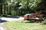 Two red Fabia's enter the woods (360x)