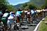 Een deel van het peloton op de Col de la Pierre-Saint-Martin (571x)