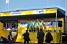 The Team Wiesenhof Felt (704x)
