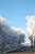 Entering the frosty forest ...  (388x)