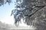 A wintery scenery (487x)