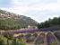 The abbey of Sénanque and its lavender garden I (288x)