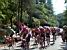 TDF 21/07/2002: The large group (371x)