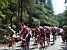 TDF 21/07/2002: Peloton (219x)