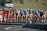 Le peloton  l'arrive  Super-Besse (414x)