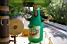 The Panach' bottle with the music drum (639x)