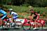 Bjrn Schrder (Milram), Carlos Barredo (QuickStep) & Arnaud Coyot (Caisse d'Epargne) (513x)
