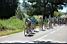 Liquigas and Milram leading the pack (274x)