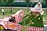 Le pick-up Cochonou (2) (462x)