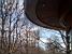 Icicles in the 'Jardins des Tuileries' (281x)