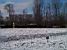 Jardins des Tuileries (292x)