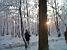 Cédric & Vincent dans la forêt de Meudon (146x)