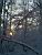 Zonsondergang in het bos van Meudon (156x)