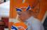 Robert Gesink (Rabobank) (989x)