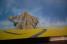 The poster is progressively shown (803x)