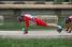 Rmy Ancelle's warming up (223x)