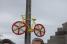 A decorated bike (2) (324x)